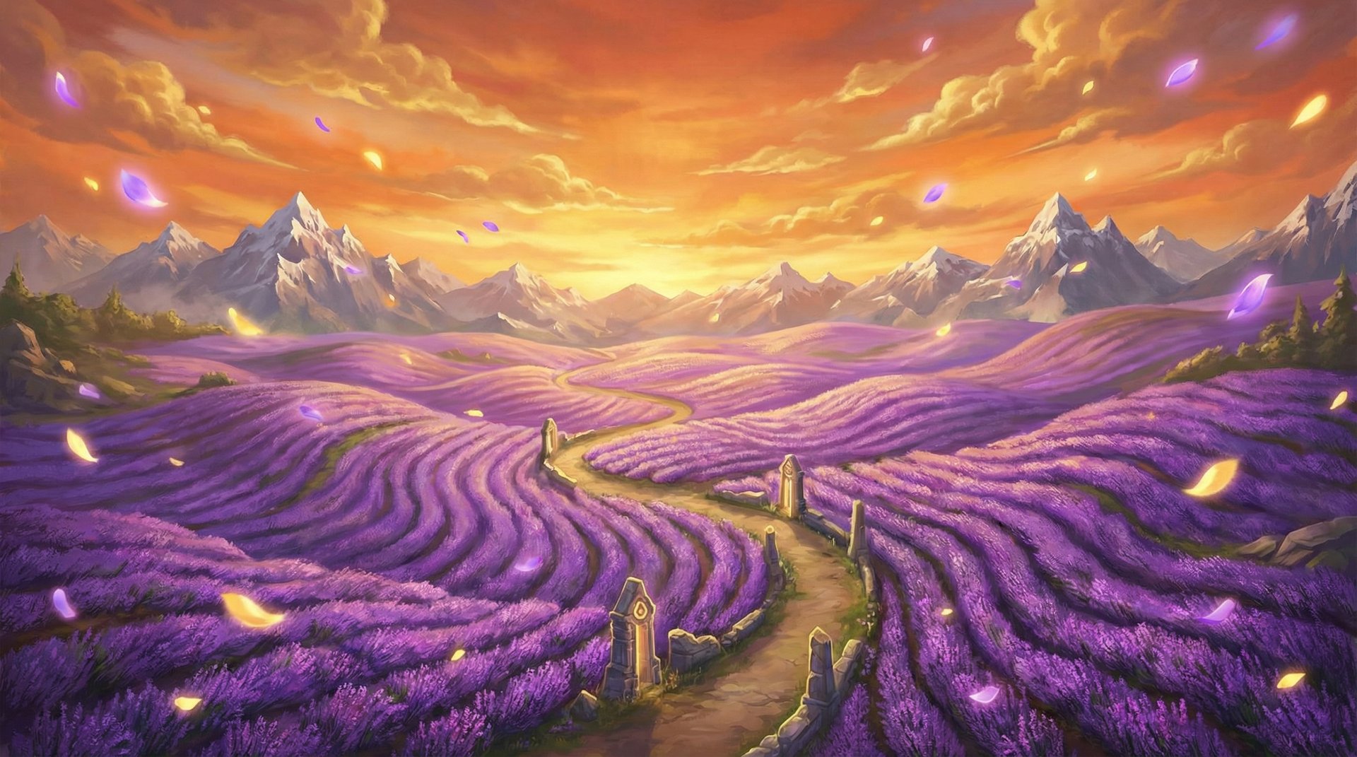 多多视频薰衣草花海航拍植物视频